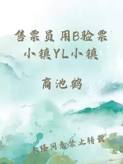 售票员用B验票小镇YL小镇