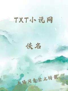 TXT小说网