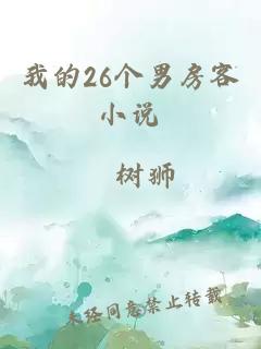 我的26个男房客小说