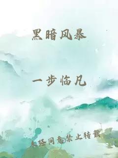 黑暗风暴