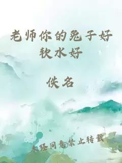 老师你的兔子好软水好