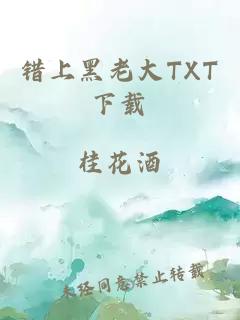 错上黑老大TXT下载