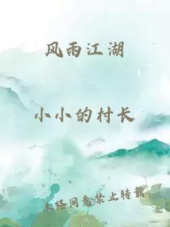 风雨江湖