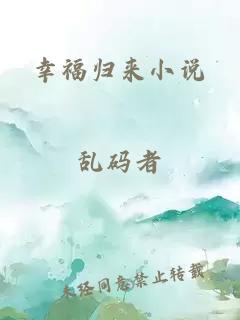 幸福归来小说