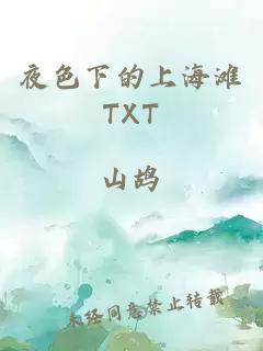 夜色下的上海滩TXT