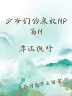 少爷们的床奴NP高H