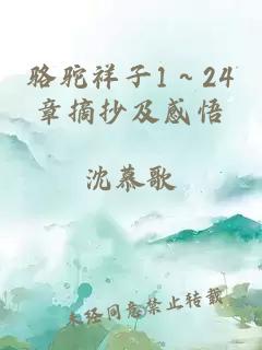 骆驼祥子1～24章摘抄及感悟