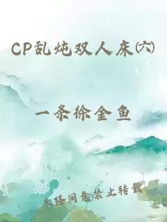 CP乱炖双人床㈥