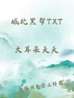 城北黑帮TXT