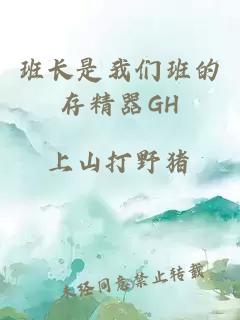 班长是我们班的存精器GH