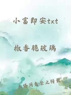 小富即安txt