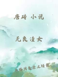 唐砖 小说