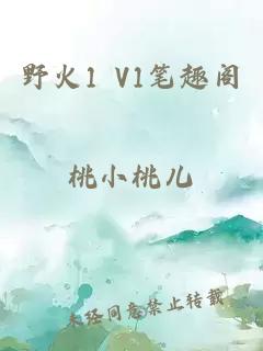 野火1 V1笔趣阁