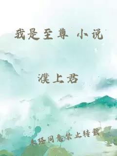 我是至尊 小说