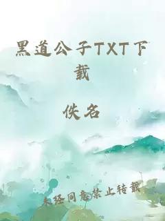 黑道公子TXT下载