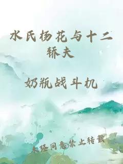 水氏杨花与十二轿夫