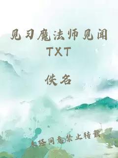 见习魔法师见闻TXT