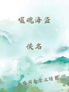 噬魂海盗