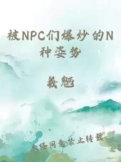 被NPC们爆炒的N种姿势