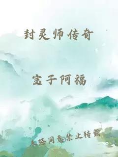 封灵师传奇