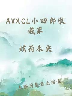 AVXCL小四郎收藏家