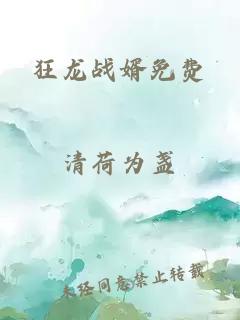 狂龙战婿免费