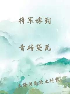 将军嫁到