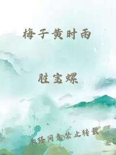 梅子黄时雨