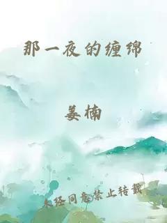 那一夜的缠绵