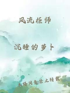 风流柜师