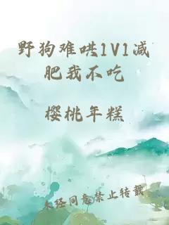 野狗难哄1V1减肥我不吃