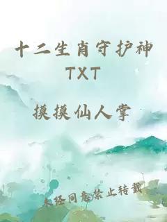 十二生肖守护神TXT