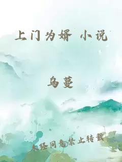 上门为婿 小说