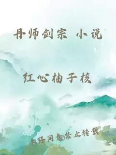 丹师剑宗 小说