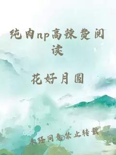 纯肉np高辣费阅读