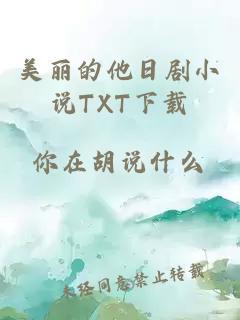 美丽的他日剧小说TXT下载