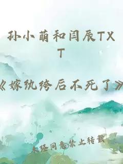 孙小萌和闫辰TXT