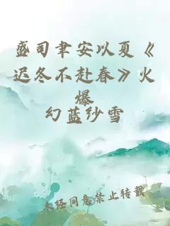 盛司聿安以夏《迟冬不赴春》火爆