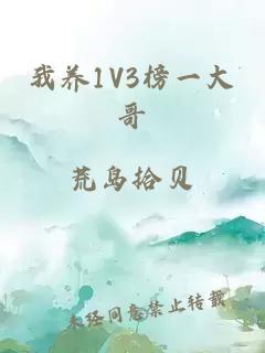 我养1V3榜一大哥