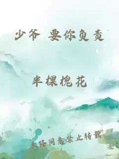 少爷 要你负责