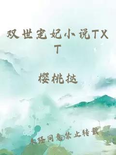 双世宠妃小说TXT