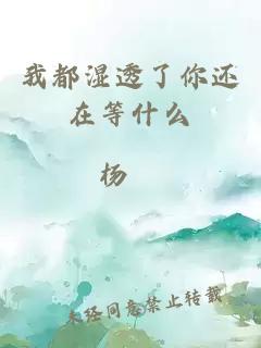 我都湿透了你还在等什么