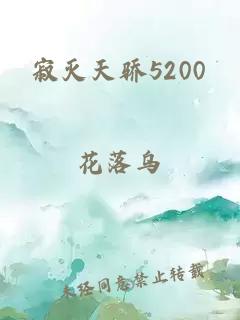 寂灭天骄5200