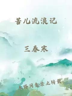 苦儿流浪记