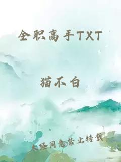 全职高手TXT