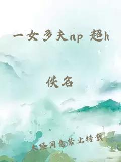 一女多夫np 超h