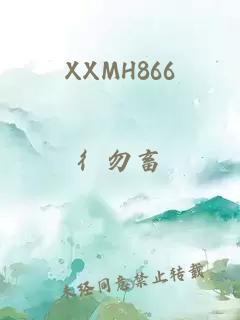 XXMH866