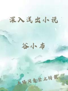 深入浅出小说