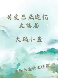 待爱已成追忆 大结局