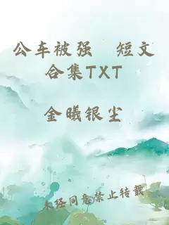 公车被强奷短文合集TXT